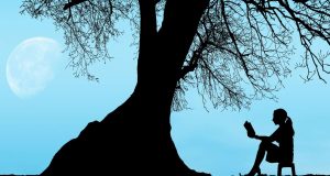 Silhouette of a woman sitting in a chair reading a book under a leafy tree