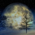 Trees in front of large moon.