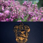 Collage: 1) Highland hills; 2) purple heather; 3) wood chess set; 4) Man in highland dress; 5) Ravenclaw crest; 6) close-up of tweed suit jacket and tie