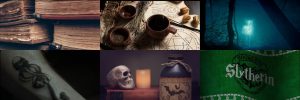Collage: 1) old books; 2) mortar and pestle with herbs and symbolic drawings; 3) silvery doe in woods; 4) Dark Mark on forearm; 5) potion bottle, candle, and skull; 6) Slytherin crest