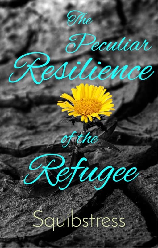Patch of cracked, parched earth with a yellow daisy growing from one crack. Title: The Peculiar Resilience of the Refugee, by Squibstress.